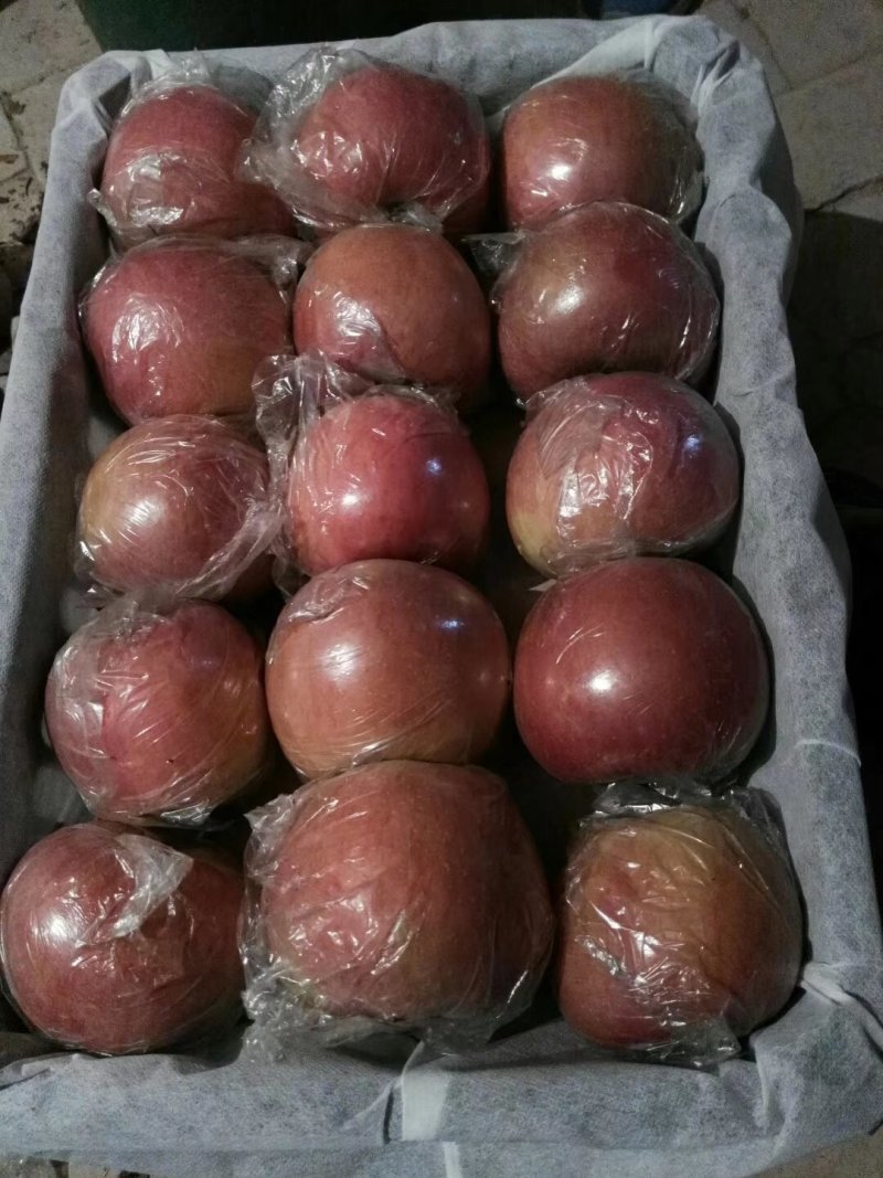 陕西精品膜袋红富士苹果，陕西苹果，质量保证，全国代发