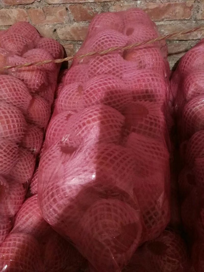 陕西精品膜袋红富士苹果，陕西苹果，质量保证，全国代发