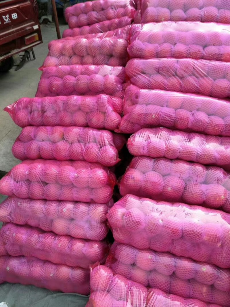 陕西精品膜袋红富士苹果，陕西苹果，质量保证，全国代发