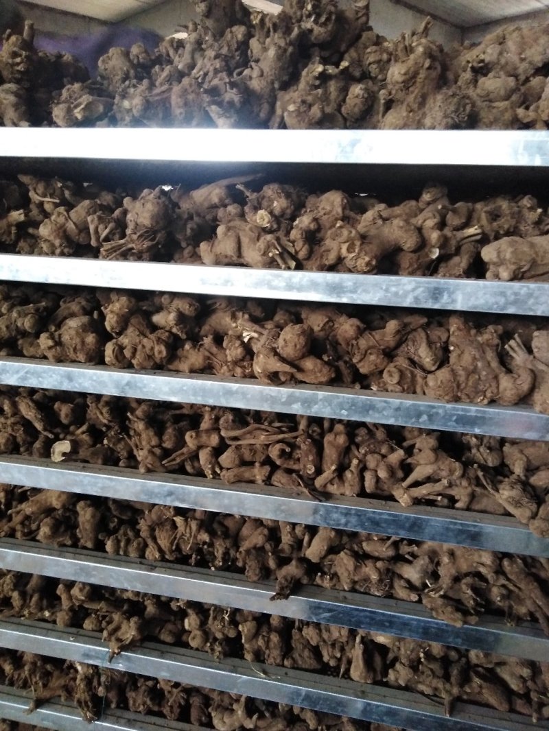 白术，干货，无硫，自产自销，一手货源