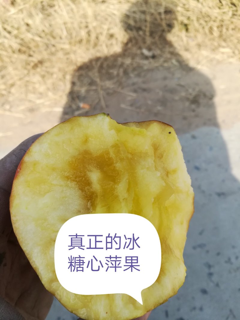 纸夹膜富士开始大量上市了要的老板速联系