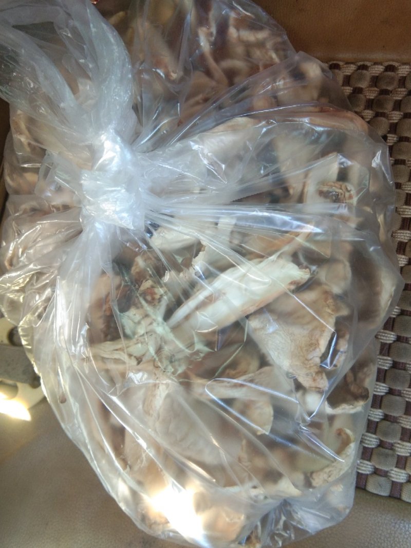 松茸干片