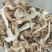 松茸干片