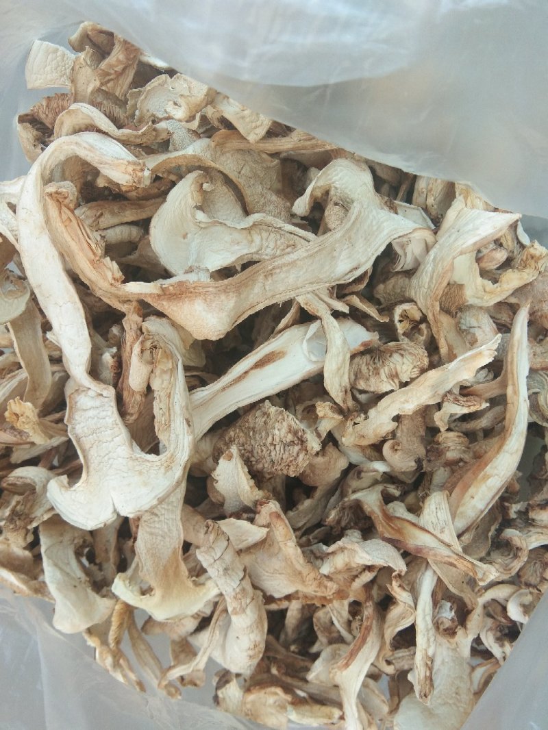 松茸干片