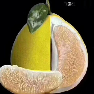 柚子