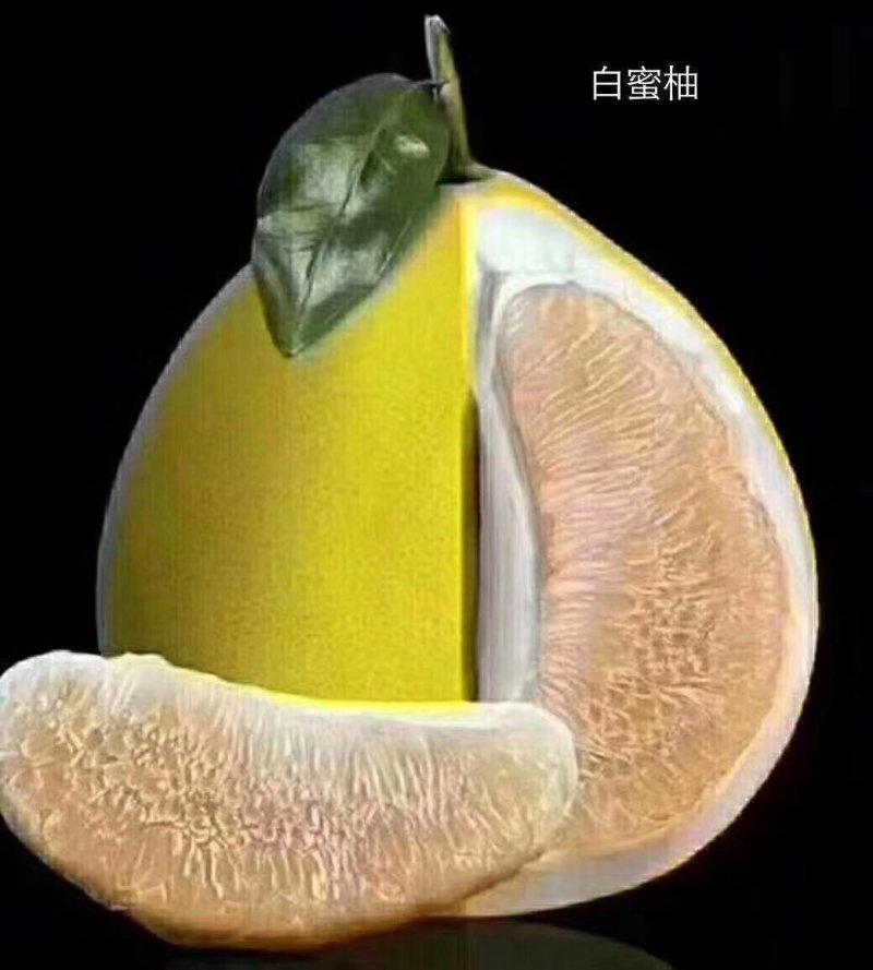 柚子