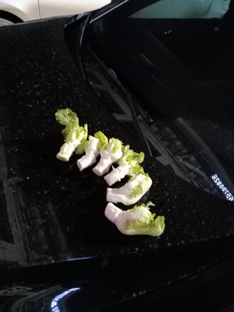儿菜传供，大型市场厂加工厂。