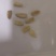 鹤首葫芦种子观光园用种观赏文玩葫芦种籽春季庭院盆栽蔬菜
