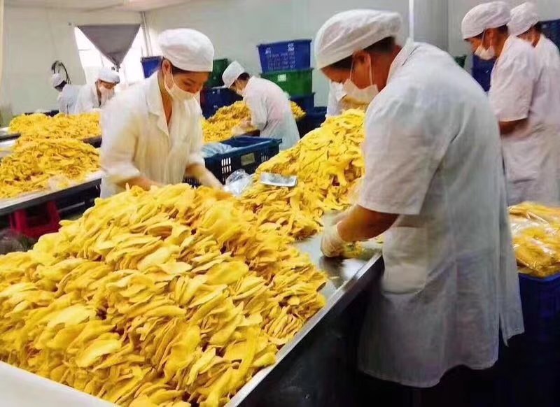 红薯片