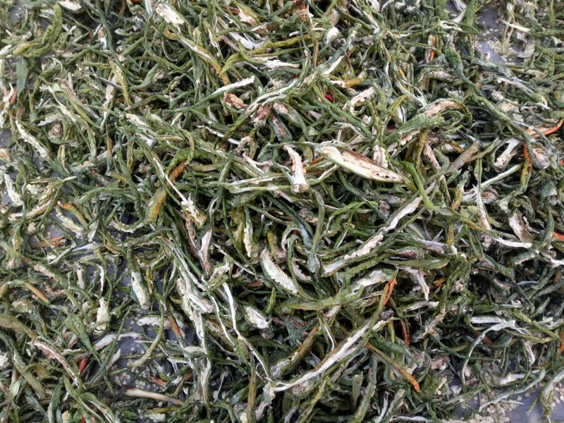 青辣椒干