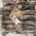 秘鲁鱿鱼3斤零售样品京东包邮