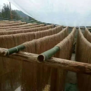 贵州仡佬族特色纯手工红苕粉