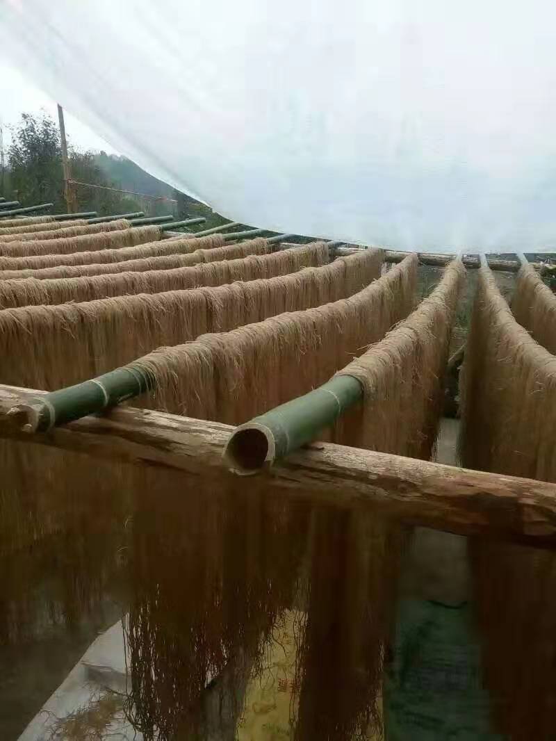 贵州仡佬族特色纯手工红苕粉