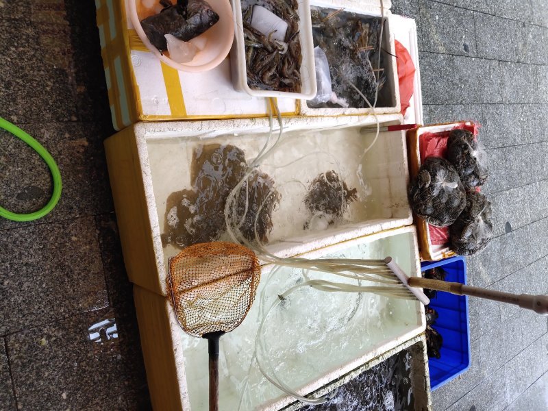 海鲜类价格不一