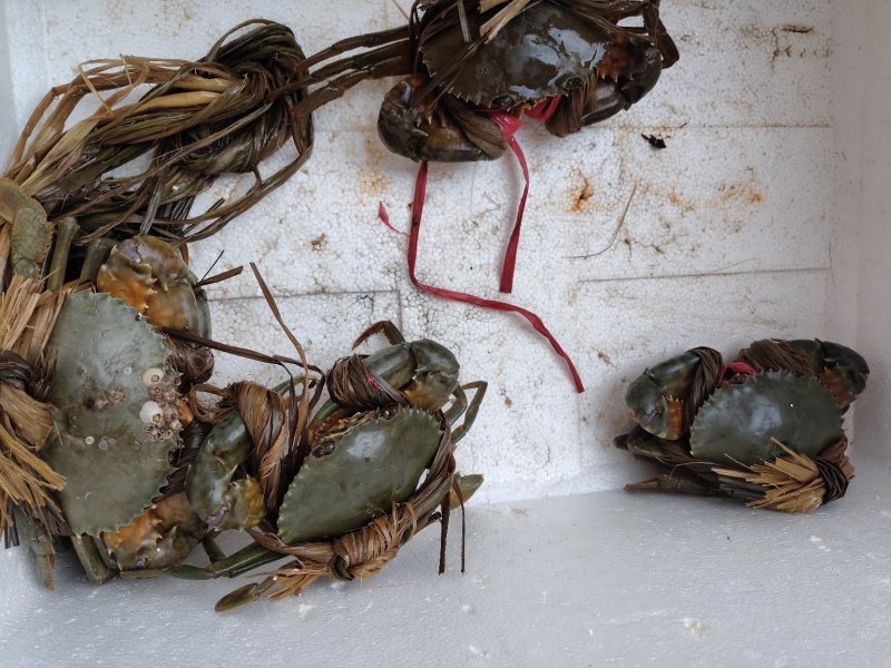 海鲜类价格不一