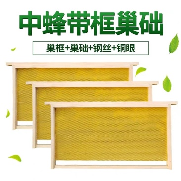 中蜂成品巢础带框杉木蜂巢保质保量全国供应