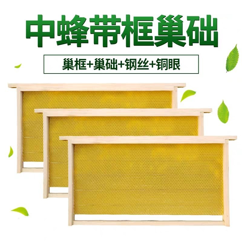 中蜂成品巢础带框杉木蜂巢保质保量全国供应
