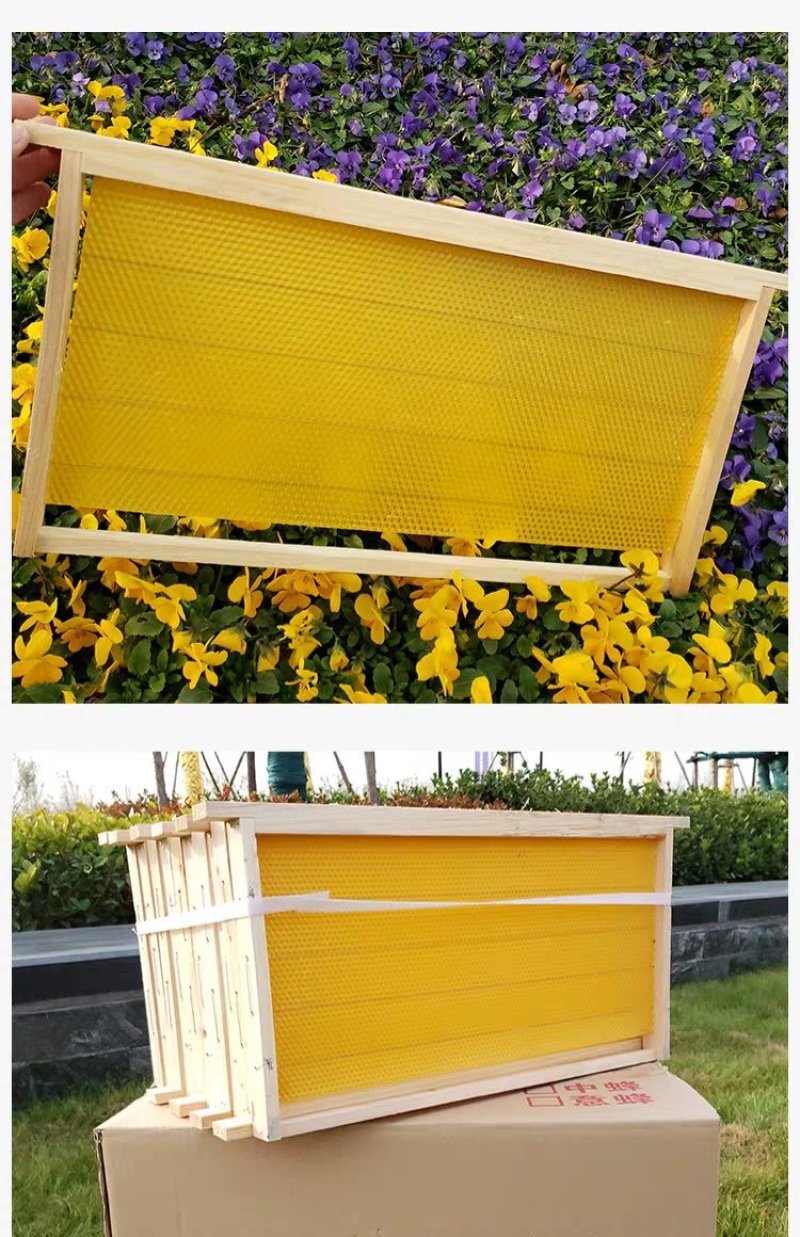 中蜂成品巢础带框杉木蜂巢保质保量全国供应