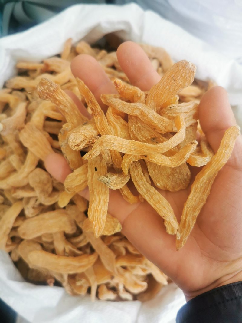 正宗云南昭通野生特大天麻小草坝无硫切天麻片