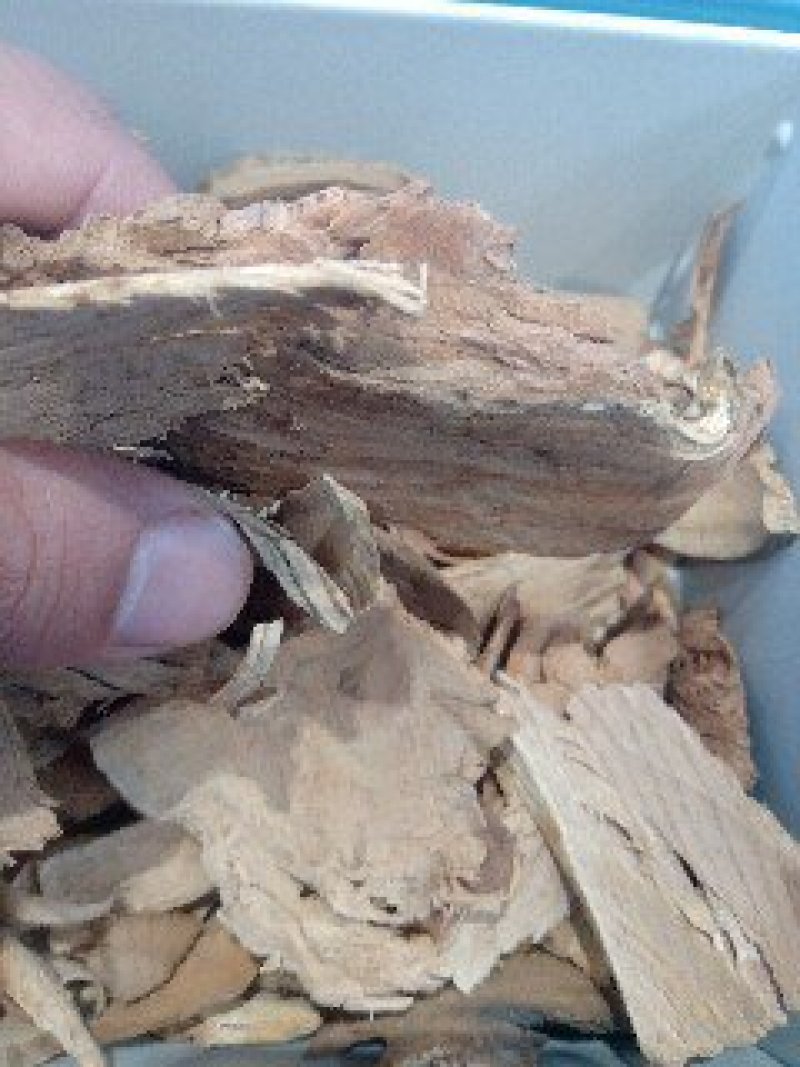 雷公藤1公斤起批不包邮供应各种中药材欢迎咨询各种中药材