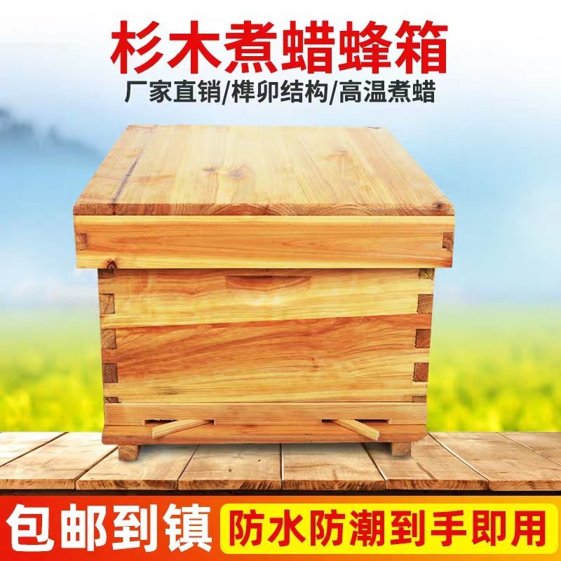 煮蜡标准中蜂蜂箱蜂巢箱全套杉木十框蜜蜂箱平箱