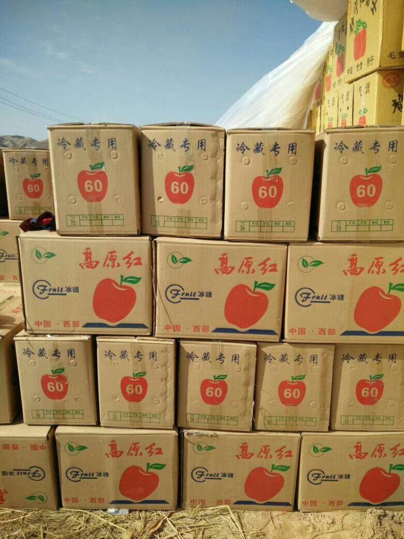 大量供应冰糖心红富士苹果