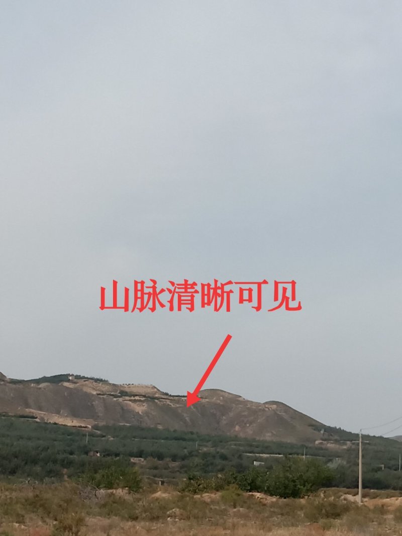 大量供应冰糖心红富士苹果
