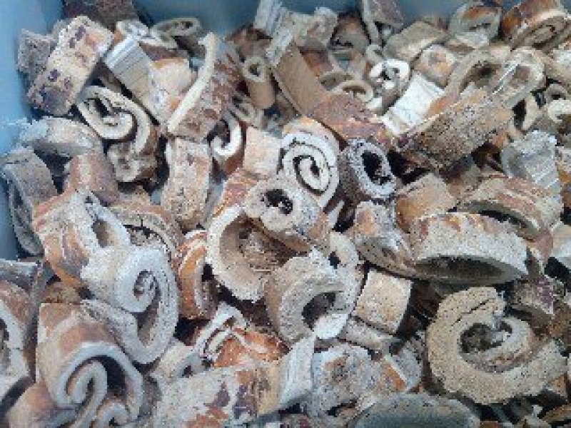 桑白皮1公斤起批不包邮供应各种中药材欢迎咨询各种中药材: