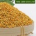 油菜花粉蜜蜂花粉饲料养蜂喂蜂代用花粉天然养蜂工具杂粉