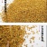 油菜花粉蜜蜂花粉饲料养蜂喂蜂代用花粉天然养蜂工具杂粉