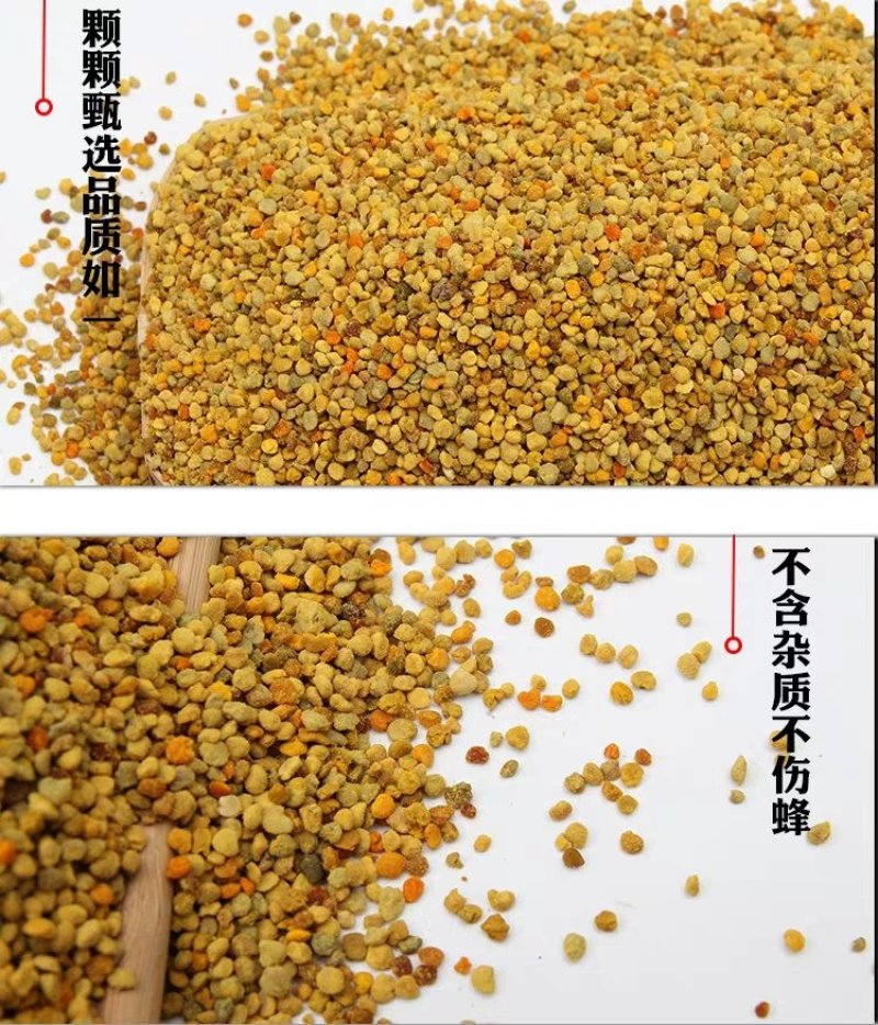 油菜花粉蜜蜂花粉饲料养蜂喂蜂代用花粉天然养蜂工具杂粉