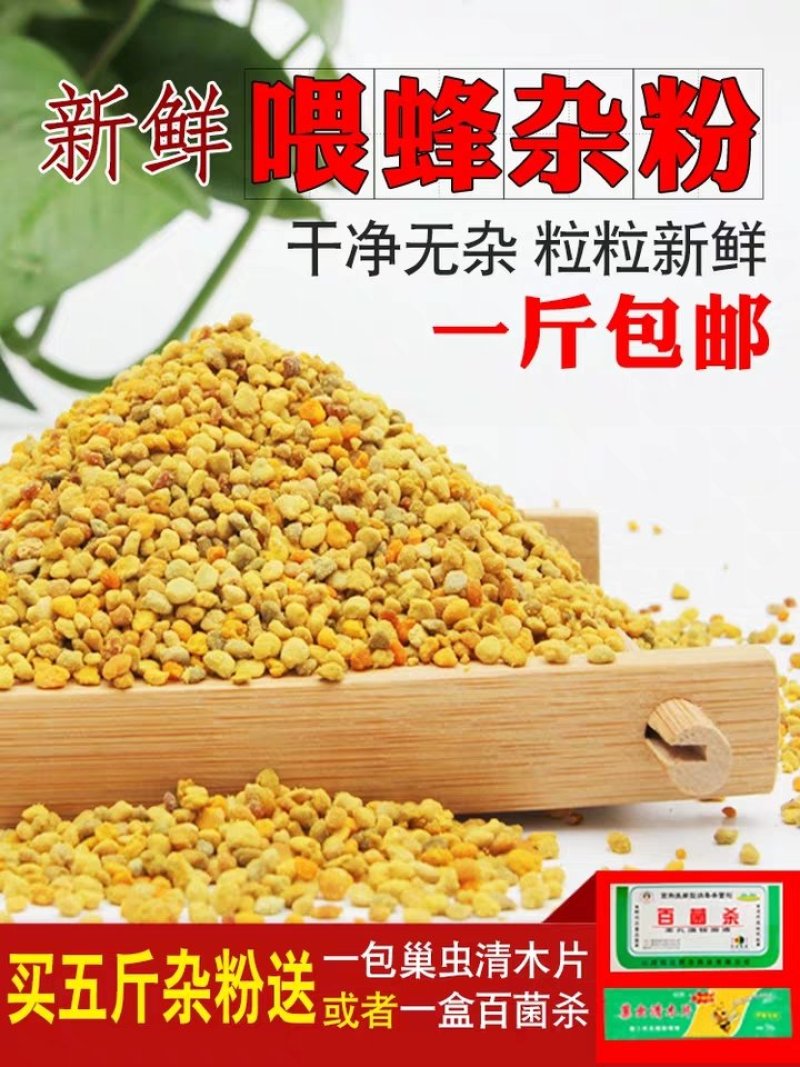 油菜花粉蜜蜂花粉饲料养蜂喂蜂代用花粉天然养蜂工具杂粉