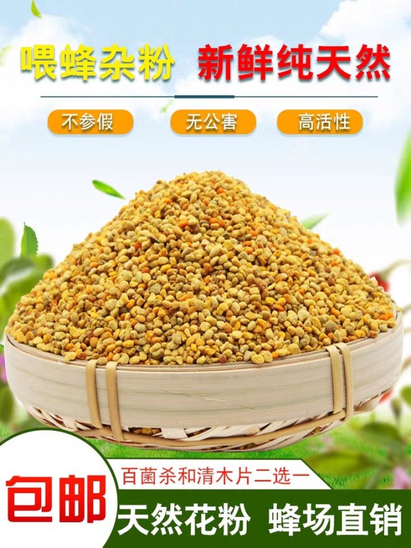 油菜花粉蜜蜂花粉饲料养蜂喂蜂代用花粉天然养蜂工具杂粉