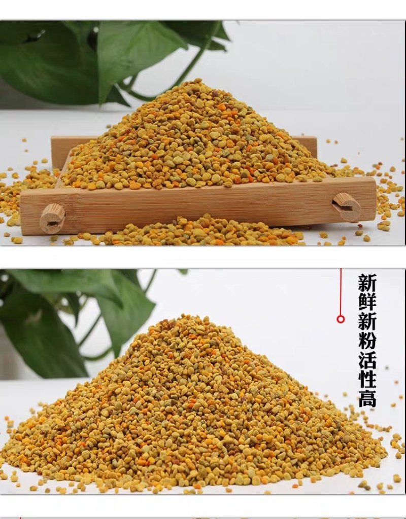 油菜花粉蜜蜂花粉饲料养蜂喂蜂代用花粉天然养蜂工具杂粉