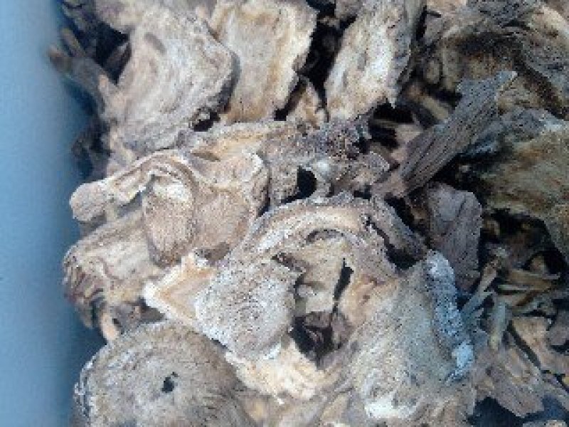 独活1公斤起批运费电议欢迎咨询各种中药材