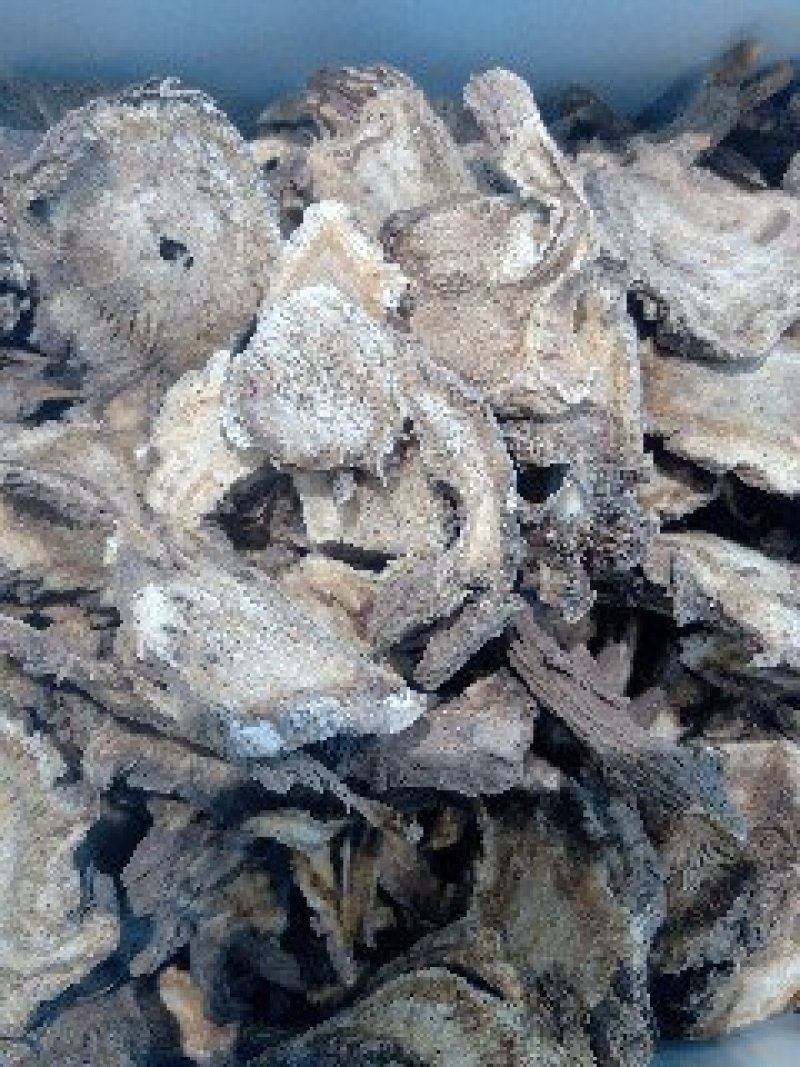 独活1公斤起批运费电议欢迎咨询各种中药材