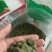精选早熟蚕豆种子营养价值高地栽蔬菜种子秋季种植
