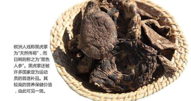 纯野生云南黑虎掌菌干货野生菌干品煲汤香气扑鼻