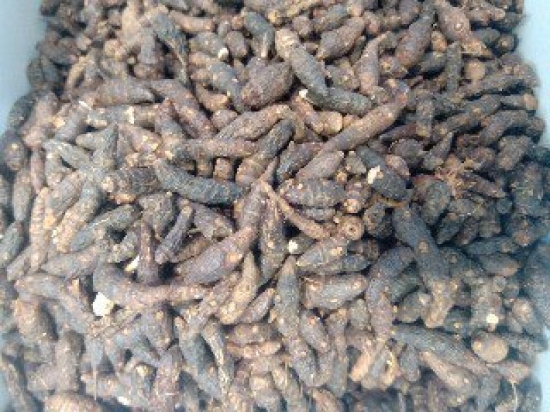 香附1公斤起批不包邮供应各种中药欢迎咨询各种中药材
