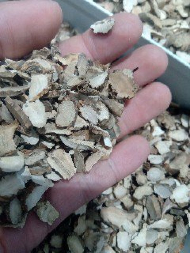 石菖蒲1公斤起批运费电议供应千种中药材欢迎咨询各种中药材