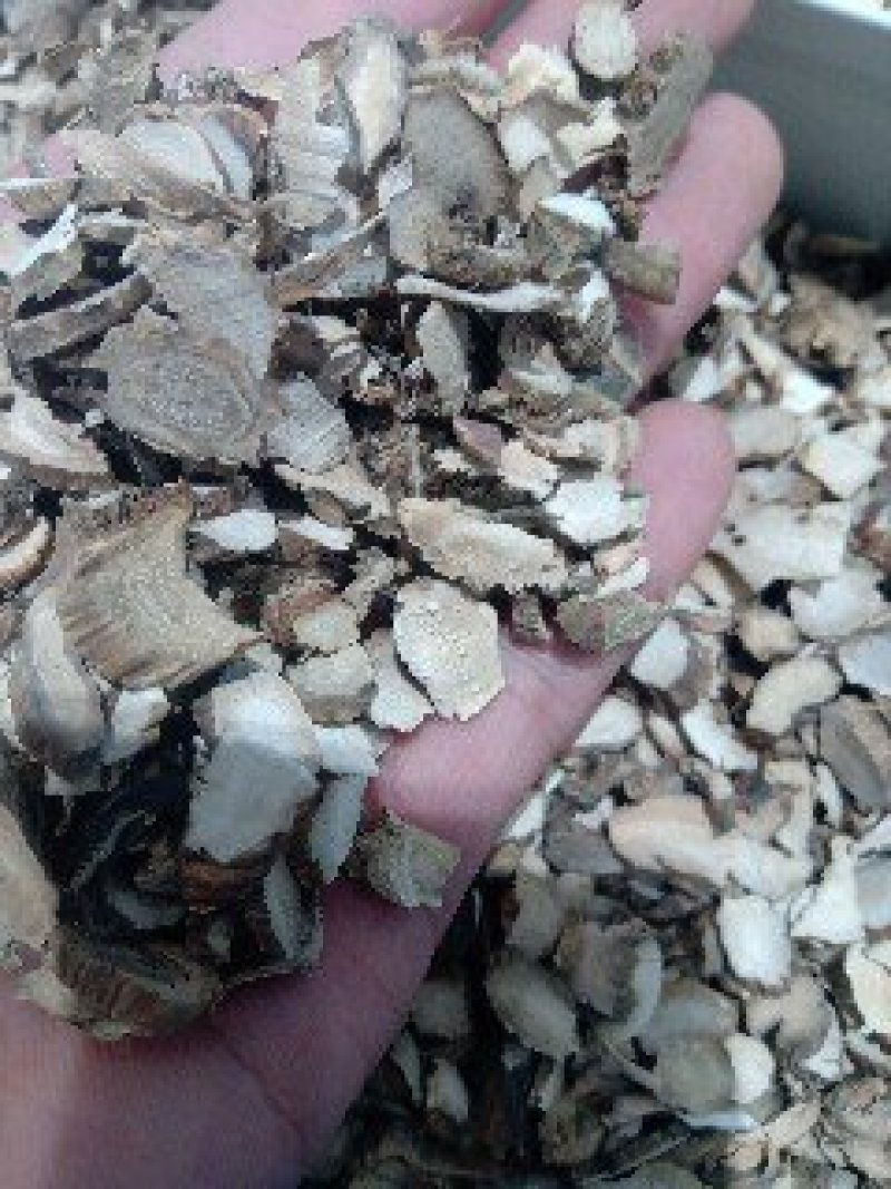 石菖蒲1公斤起批运费电议供应千种中药材欢迎咨询各种中药材