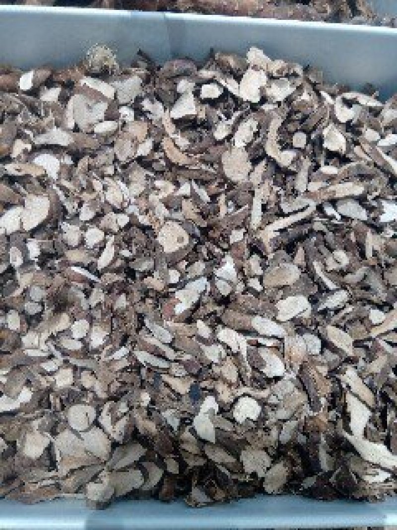 石菖蒲1公斤起批运费电议供应千种中药材欢迎咨询各种中药材