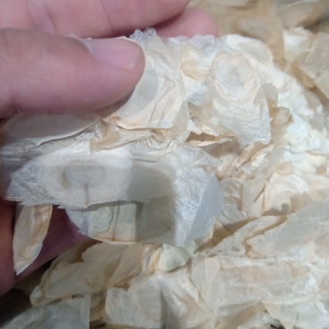 木蝴蝶1公斤起批运费电议量大从优欢迎咨询