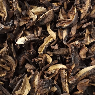 云南特产牛肝菌黑牛肝菌黑木瓦菌老家产地货源大量供应
