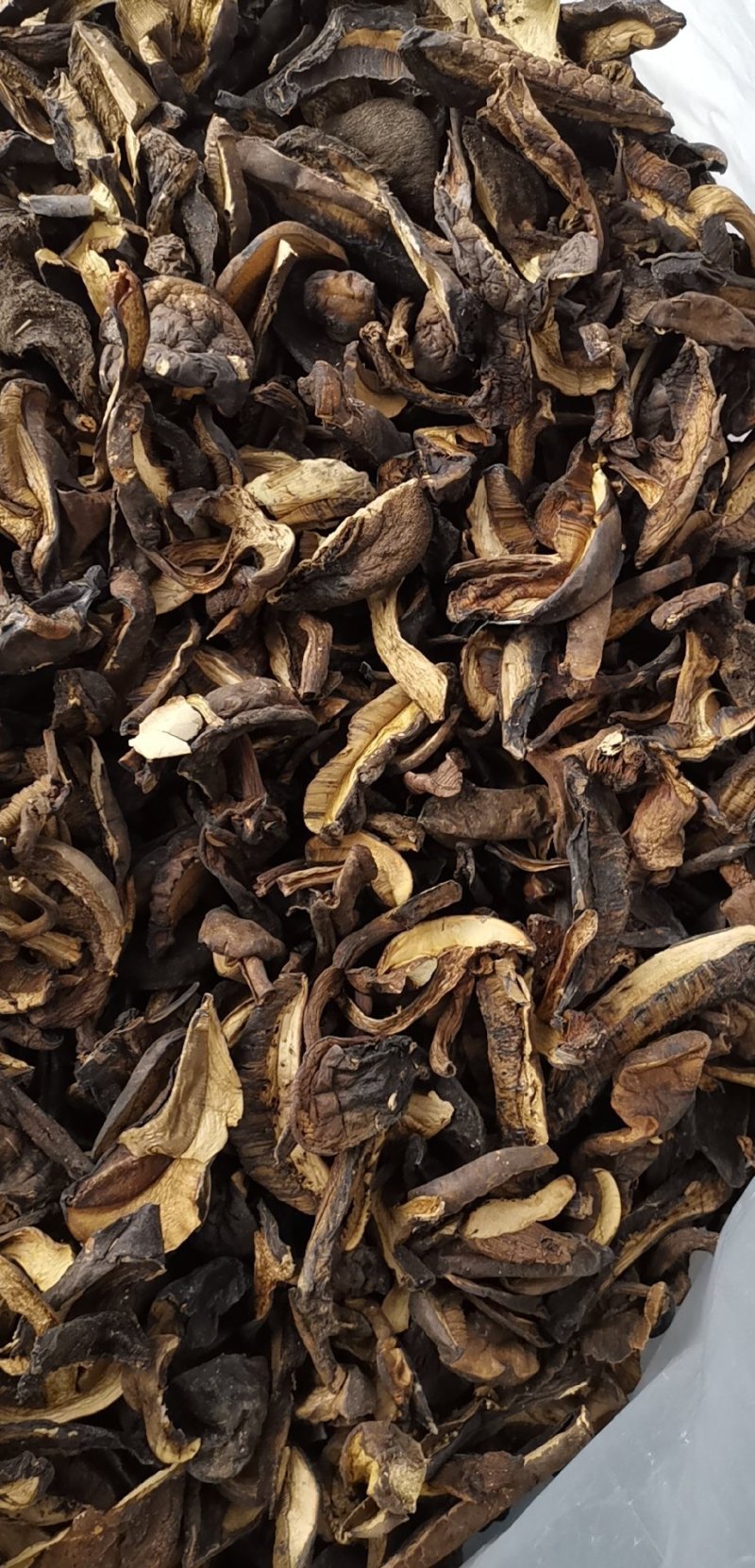 云南特产牛肝菌黑牛肝菌黑木瓦菌老家产地货源大量供应