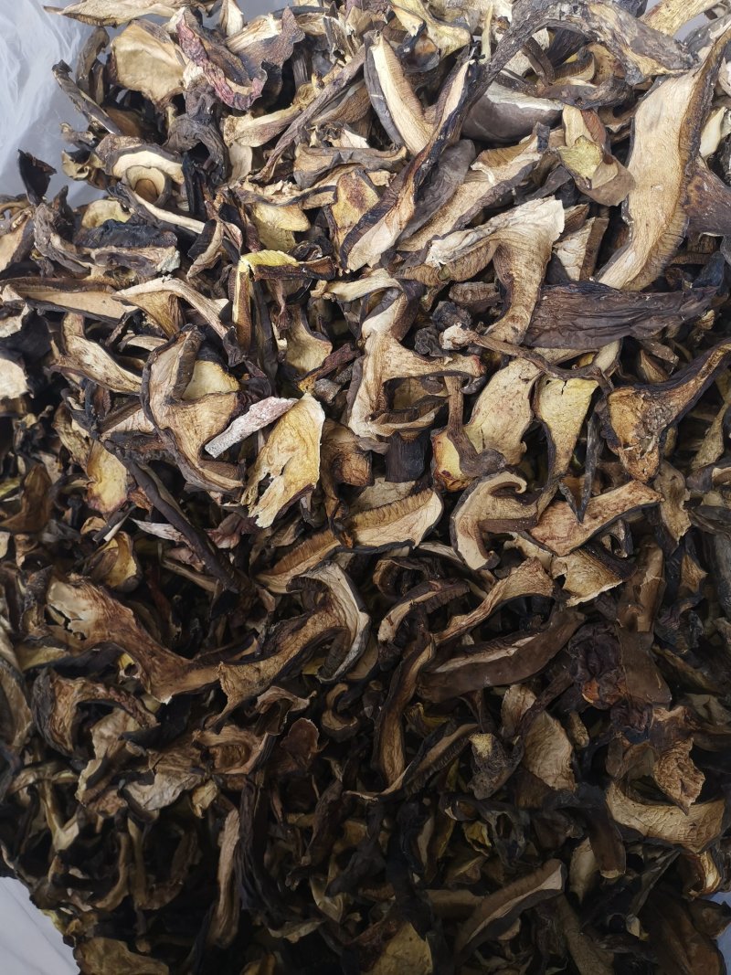 云南特产牛肝菌黑牛肝菌黑木瓦菌老家产地货源大量供应