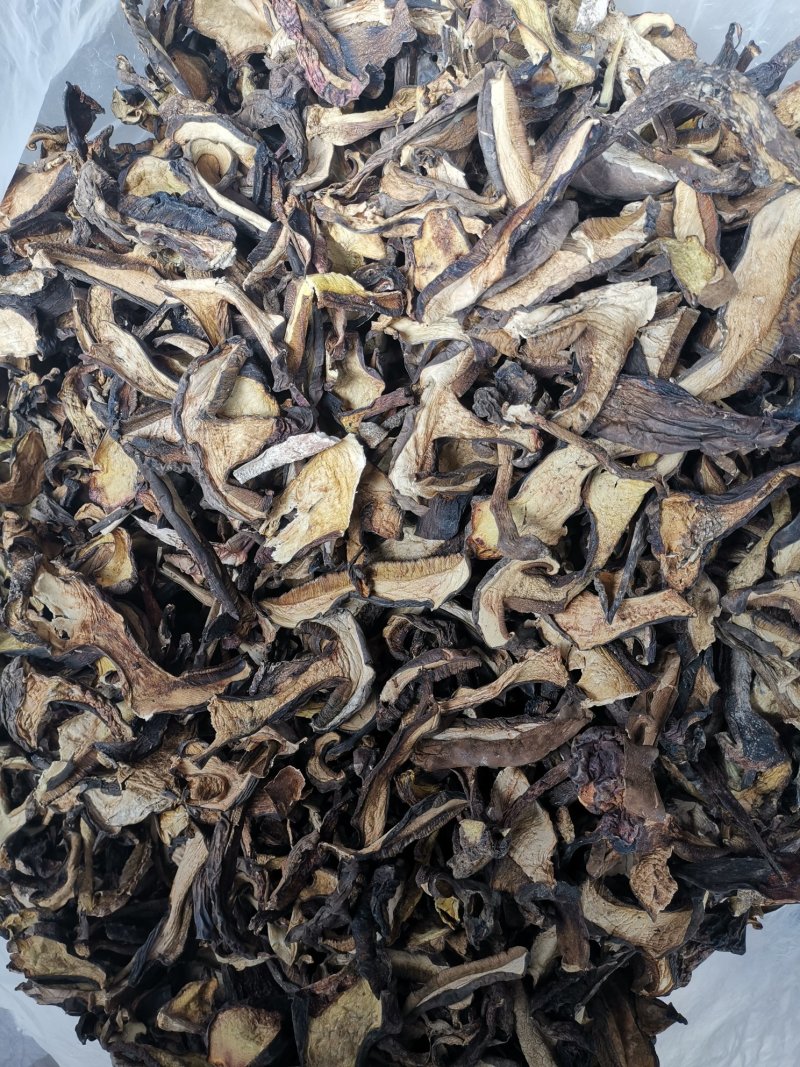 云南特产牛肝菌黑牛肝菌黑木瓦菌老家产地货源大量供应