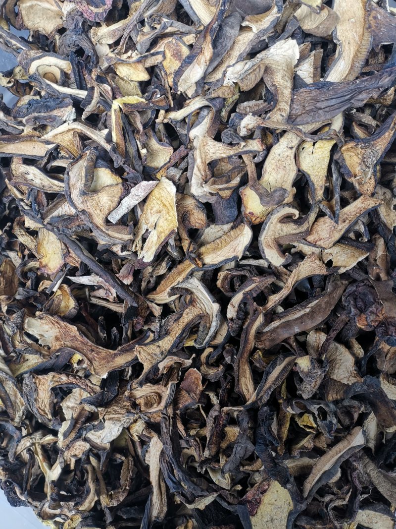 云南特产牛肝菌黑牛肝菌黑木瓦菌老家产地货源大量供应