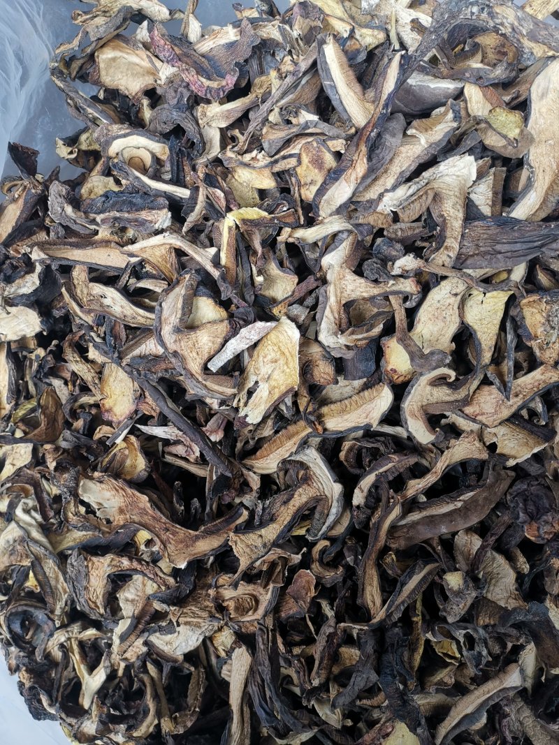 云南特产牛肝菌黑牛肝菌黑木瓦菌老家产地货源大量供应