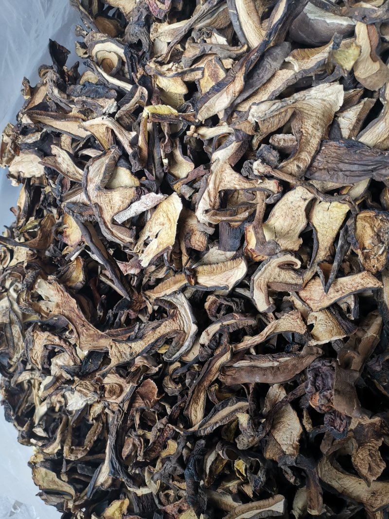 云南特产牛肝菌黑牛肝菌黑木瓦菌老家产地货源大量供应